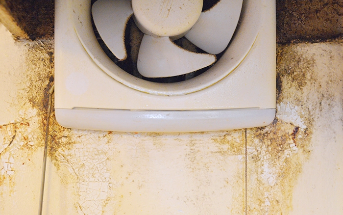 汚れがこびりついた換気扇