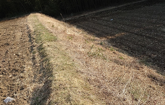 那須町黒田原の傾斜のある田んぼの草刈り事例、作業前