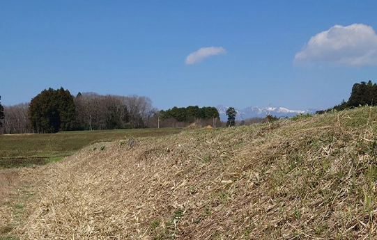 CASE1 那須町黒田原の田んぼ畦道草刈りAfter事例（綺麗に根元から刈り込まれた畔道の写真）
