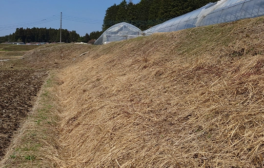 那須町黒田原の田んぼの草刈り事例、作業後