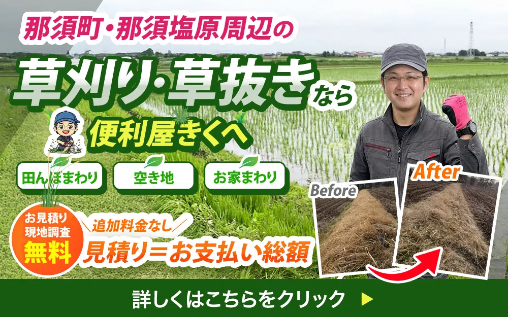 那須町の田んぼのあぜ道・空き地の草刈りBefore After。那須の便利屋きくが、枯れ草から綺麗に処理した様子。