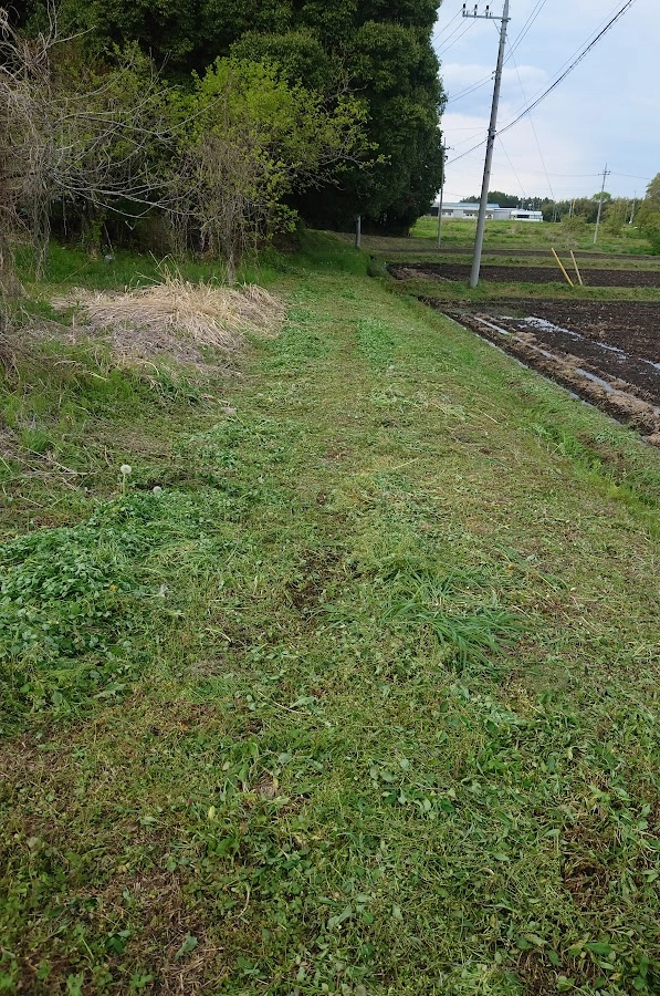 草刈り後の田んぼの畦道
