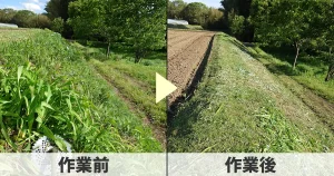 田んぼの土手草刈り作業前と作業後の写真