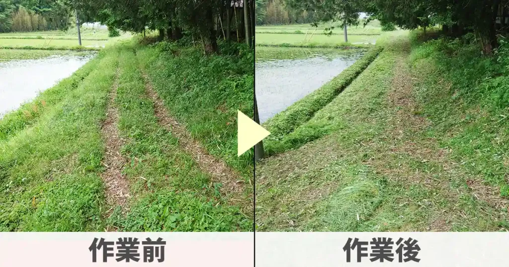 田んぼの畦道草刈り前と後の画像