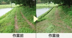 田んぼの畦道草刈り前と後の画像