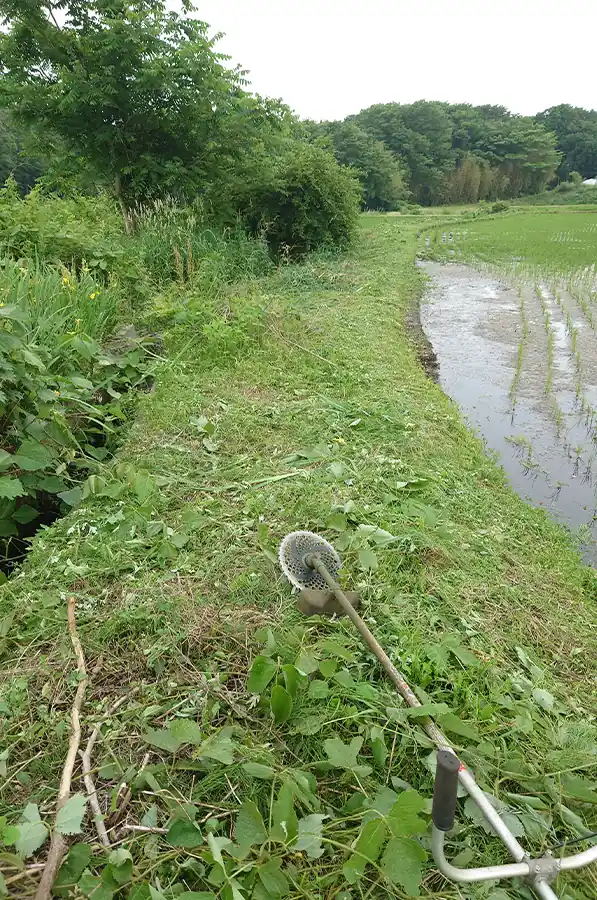 那須の田んぼの草刈り作業後の様子