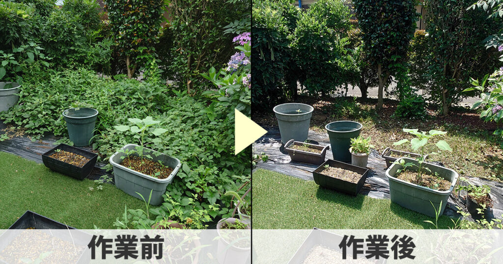 草刈り前の様子と草刈り後の様子