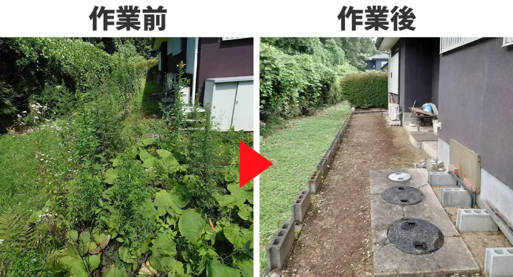 家の裏手の草刈り前と草刈り後の写真