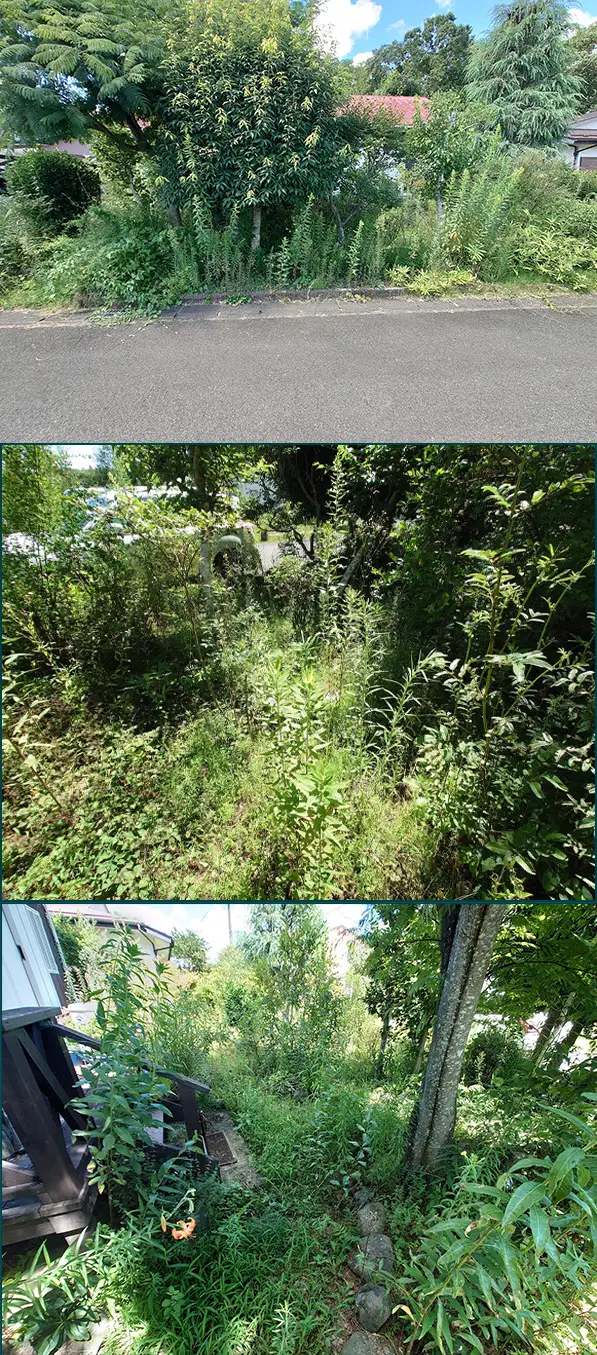 草刈り前のお庭の写真
