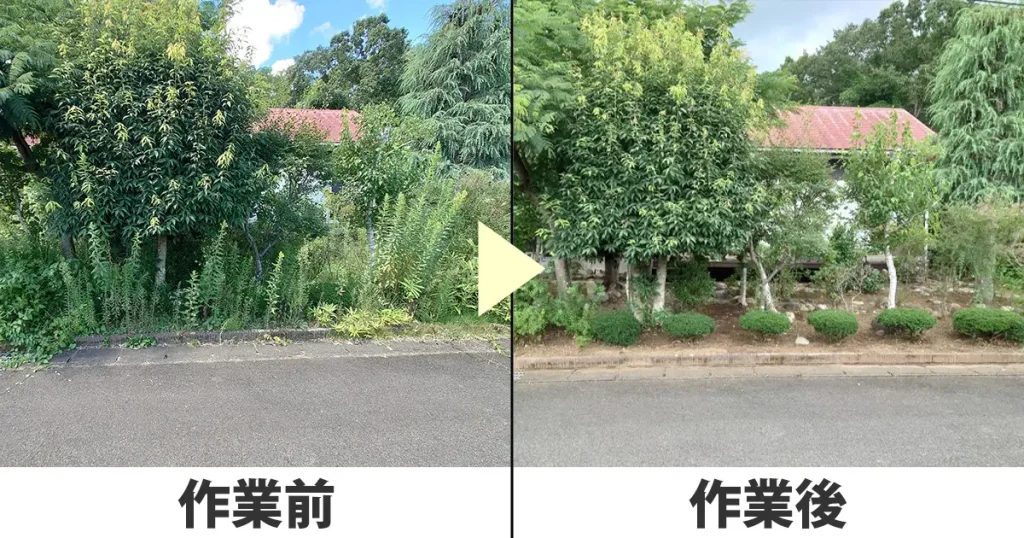 草刈り前と草刈り後の様子