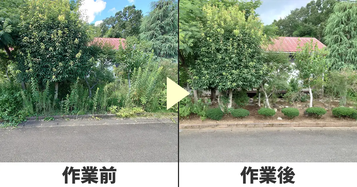 草刈り前と草刈り後の様子