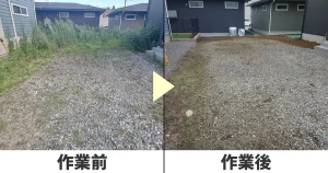 庭の草刈り前の様子と草刈り後の様子
