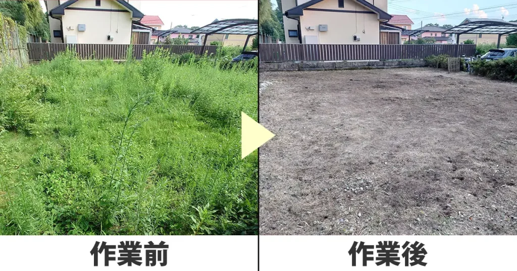 草刈り前と草刈り後の写真