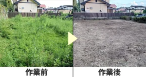 草刈り前と草刈り後の写真