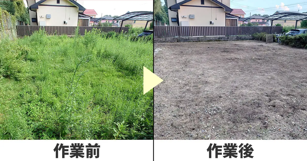 草刈り前と草刈り後の写真